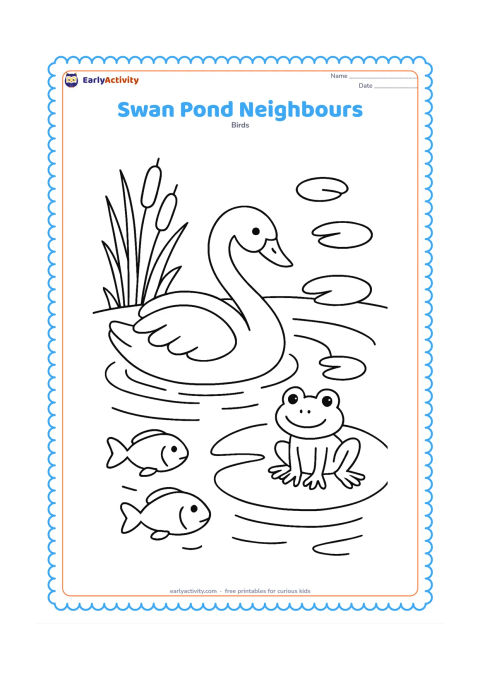 Colouring page: A swan swims near a friendly frog on a lily pad and two small fish visible beneath the water surface. Add reeds, floating leaves, and several overlapping ripples.