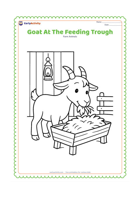 Colouring page: Draw a goat leaning over a wooden feeding trough filled with hay, with its lips and front teeth near the hay. Include a barn wall, one hanging lantern, and a small fence section.