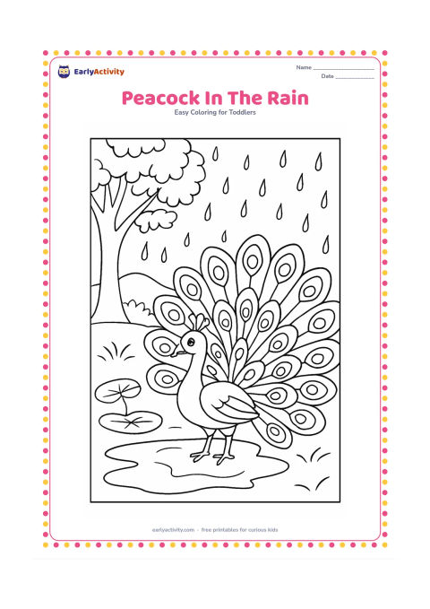 Colouring page: A peacock spreads its large patterned tail beside a puddle during a gentle shower. Add a leafy tree, curved raindrops, two lotus leaves and distant low hills.