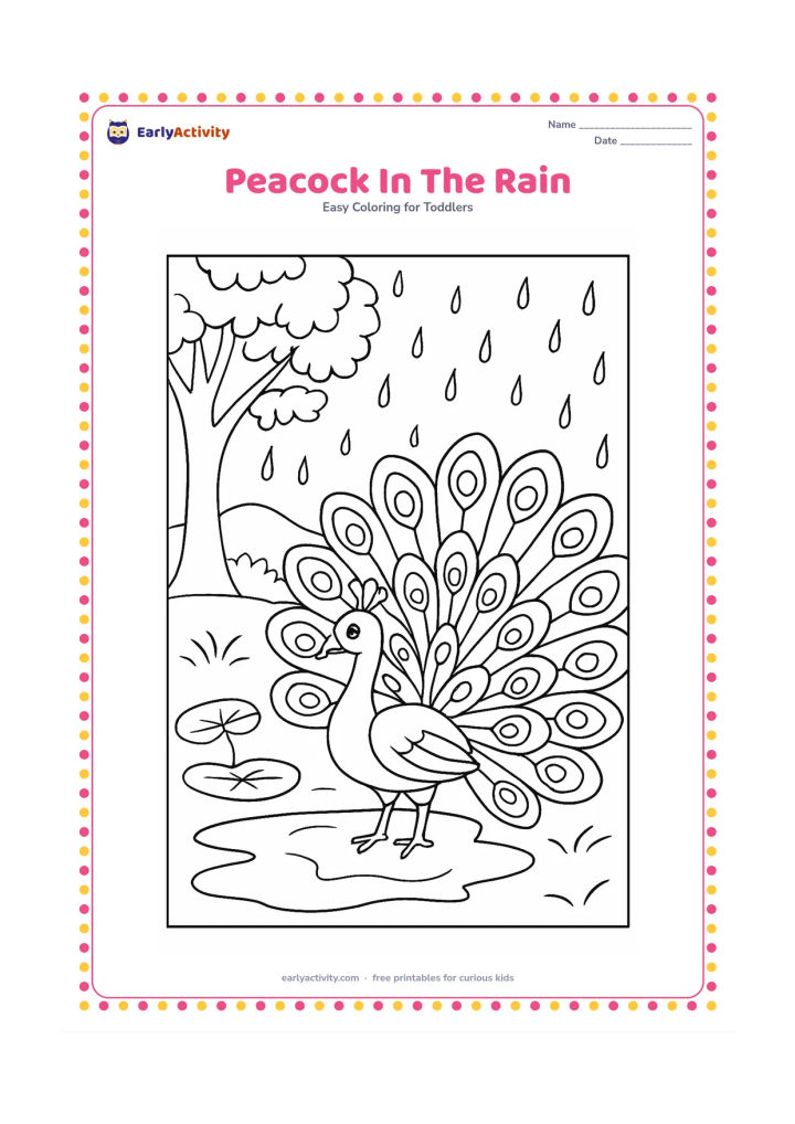 Colouring page: A peacock spreads its large patterned tail beside a puddle during a gentle shower. Add a leafy tree, curved raindrops, two lotus leaves and distant low hills.