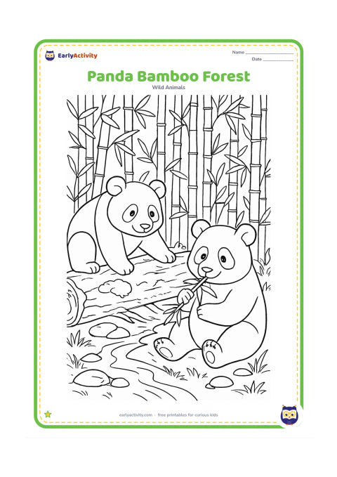 Colouring page: A panda climbs over a mossy log in a dense bamboo forest while another panda sits nearby eating a bamboo shoot; include layered stalks, leaves, stones, and a small stream.