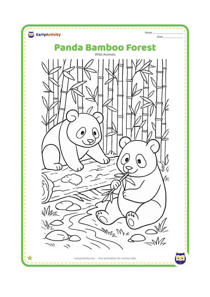Colouring page: A panda climbs over a mossy log in a dense bamboo forest while another panda sits nearby eating a bamboo shoot; include layered stalks, leaves, stones, and a small stream.