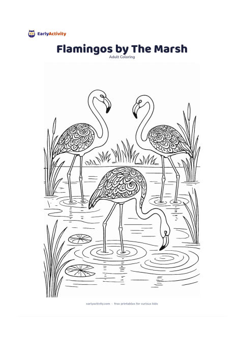 Colouring page: Draw three flamingos wading through a calm marsh, with one bird bending to feed and two standing tall. Add reeds, water ripples, lily pads, distant grasses and reflected bird shapes…