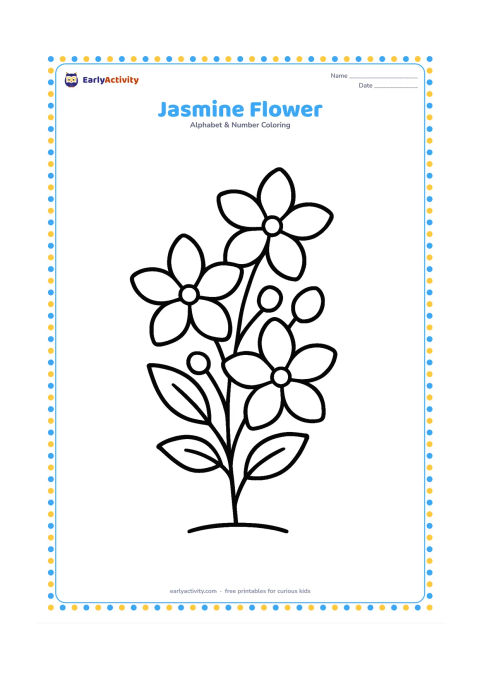 Colouring page: Draw a short leafy jasmine stem with three large five-petal flowers and a few round buds. Centre the stem on the page with a small patch of ground below.