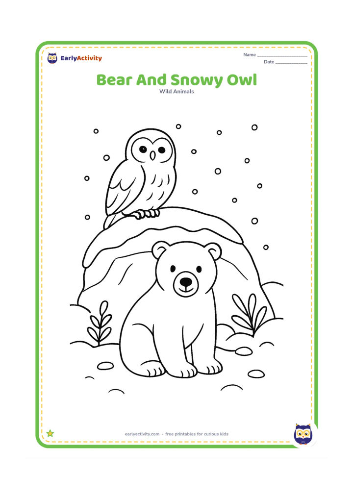 Colouring page: A polar bear sits beneath a low snow-covered rock while a snowy owl perches on the rock, with scattered snow and a few simple Arctic plants.
