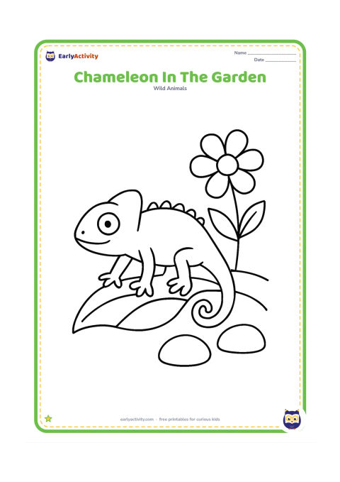 Colouring page: A chameleon walks across a low garden leaf beside one large flower and two rounded stones. Its head faces forward, with a curled tail trailing behind.