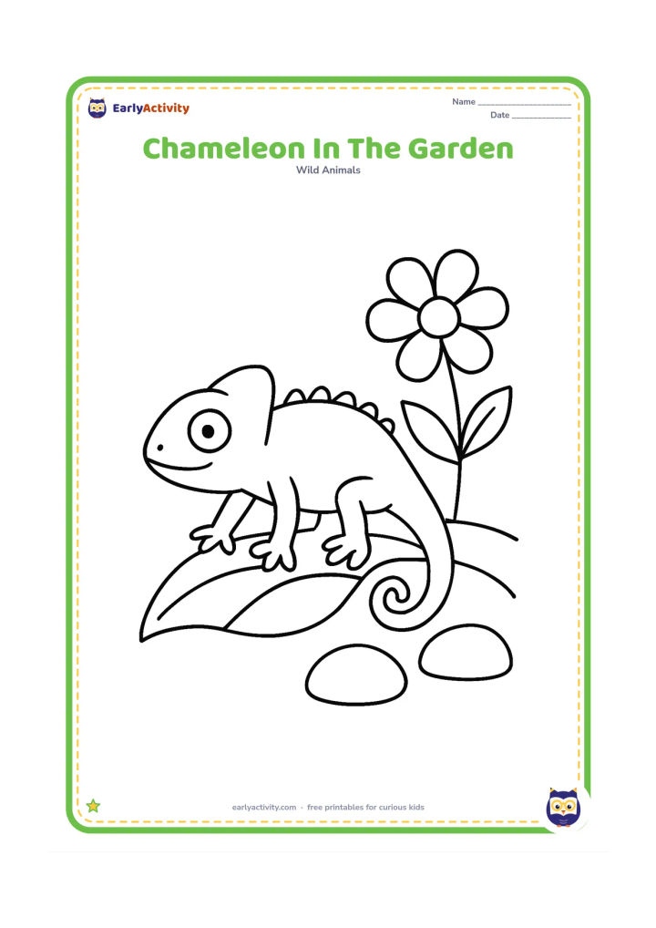 Colouring page: A chameleon walks across a low garden leaf beside one large flower and two rounded stones. Its head faces forward, with a curled tail trailing behind.