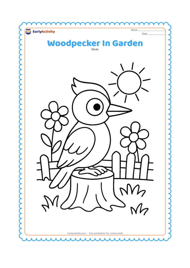Colouring page: A woodpecker rests on a short tree stump in a sunny garden, with large flowers, grass and a simple fence behind it. Keep the bird as the main central subject.