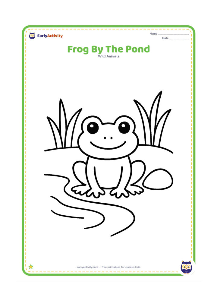Colouring page: Draw a frog sitting at the edge of a pond with its front feet near the water, one large stone and three broad grass clumps nearby. Show a simple curved pond edge behind the frog.