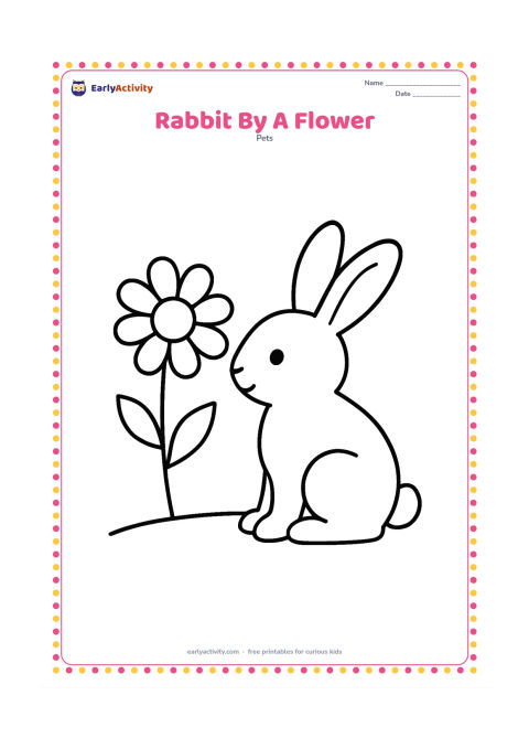 Colouring page: A rabbit sits beside one oversized daisy, turning its head toward the flower. Add a short stem, two leaves and a curved ground line.