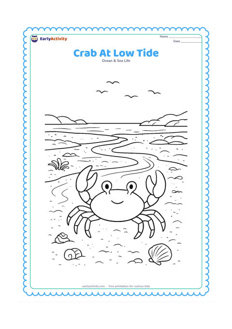 Colouring page: Show a crab crossing a broad beach at low tide, with exposed pools, winding water channels, seaweed clumps, shells and distant rocky shore formations. Include a small flock of simple…