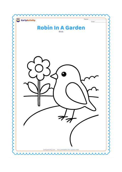 Colouring page: Draw a robin standing beside one large flower in a simple garden, with a curved path and a low hedge behind it. Show the bird in profile with its feet clearly visible.