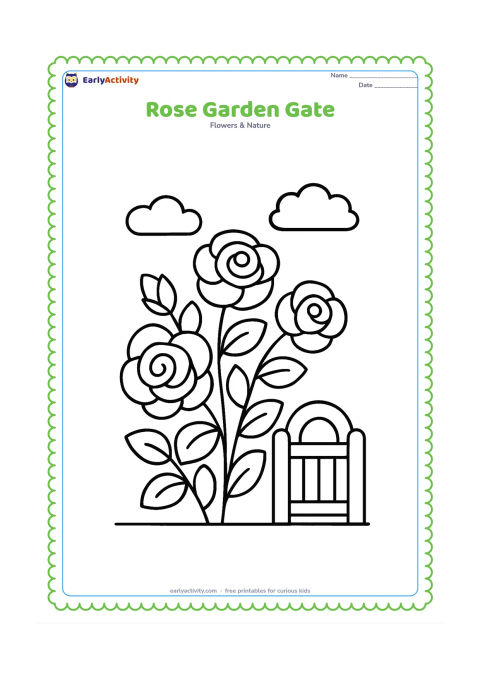Colouring page: Draw one large rose bush beside a small, simple garden gate, with several oversized blooms, broad leaves, a ground line, and two puffy clouds.