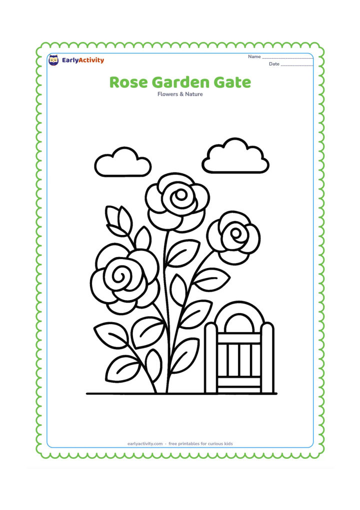 Colouring page: Draw one large rose bush beside a small, simple garden gate, with several oversized blooms, broad leaves, a ground line, and two puffy clouds.