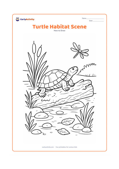 Worksheet: Draw a detailed pond-turtle habitat with a turtle climbing from shallow water onto a mossy log. Include layered pond plants, stones, fallen leaves, a dragonfly and a shaded bank.