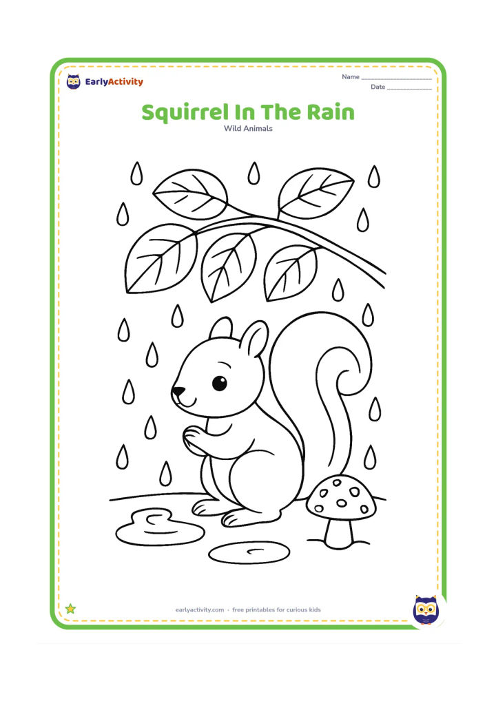 Colouring page: Draw a squirrel sheltering beneath a broad leafy branch during a gentle shower, with puddles, curved raindrops, and a mushroom nearby.