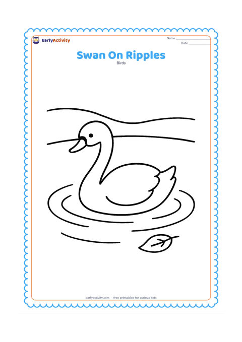 Colouring page: A swan swims across the centre of a quiet pond, surrounded by several wide, curved water ripples. Add one floating leaf and a simple curved shoreline in the background.