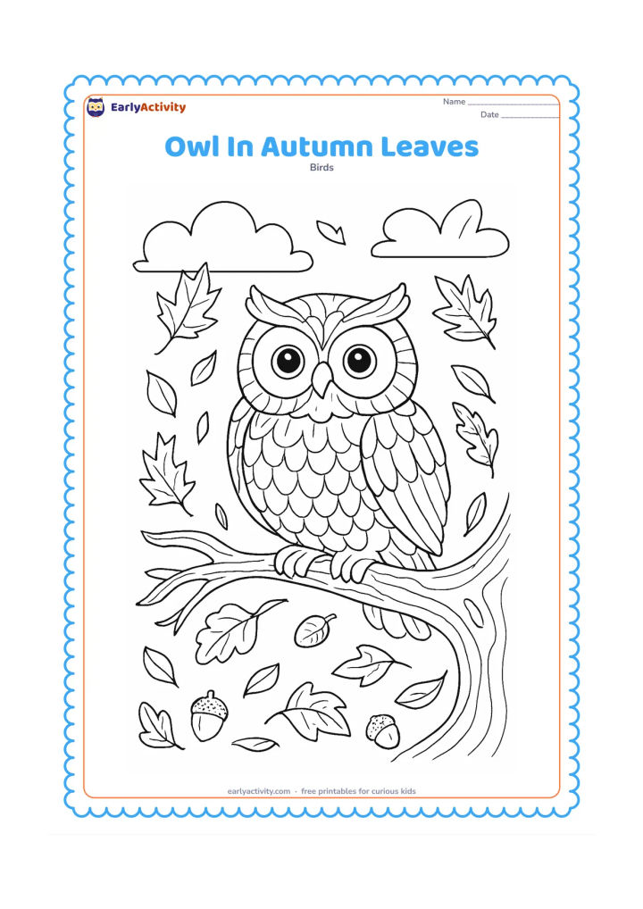 Colouring page: An owl sits on a winding branch surrounded by falling leaves, curled leaves on the ground, acorns, textured bark and a cloudy seasonal sky.