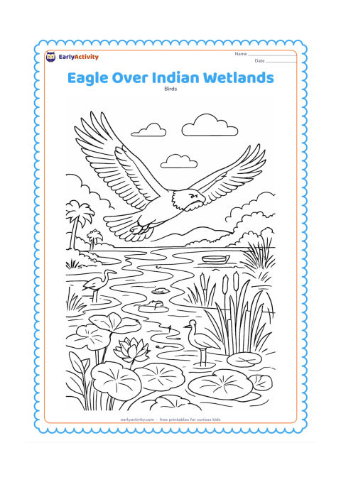 Colouring page: Draw an eagle soaring above Indian wetlands with broad wings fully extended. Below it are winding waterways, lotus leaves, tall reeds, a few water birds, distant palms and a small wooden…