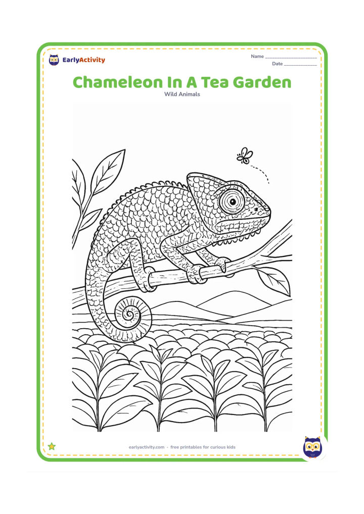 Colouring page: A chameleon rests on a branch above neat rows of tea plants, with distant hills, a few broad leaves and a small flying insect. Include detailed scales, eye ridges and a curled tail.