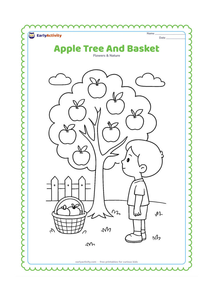 Colouring page: Draw an apple tree with branching limbs, apples at different heights, a woven basket on the grass, and a child observing the fruit from the side. Add a few clouds and a garden fence.