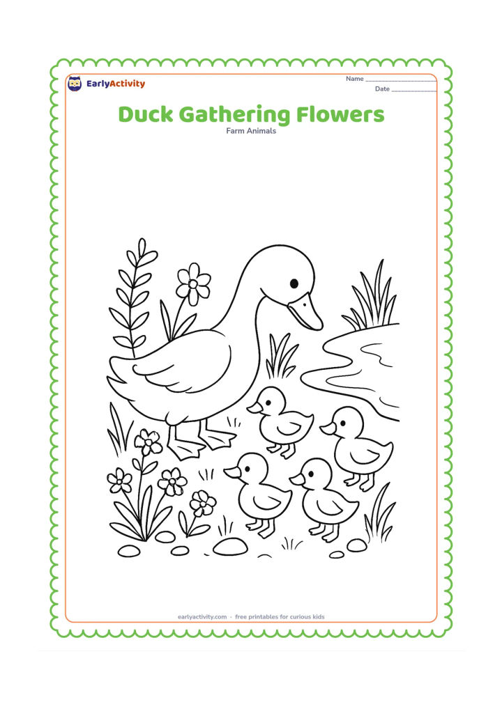 Colouring page: A duck bends its head toward wildflowers on a pond bank while three ducklings watch nearby. Include several flower types, leafy stems, grass, stones and a winding water edge.