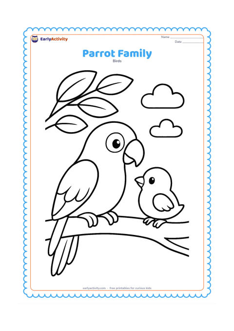 Colouring page: Draw one adult parrot and one small chick sitting together on a broad branch. Add three large leaves above them and simple rounded clouds in the background.