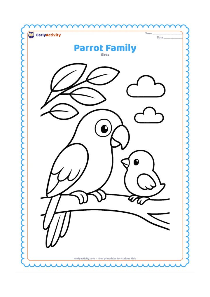 Colouring page: Draw one adult parrot and one small chick sitting together on a broad branch. Add three large leaves above them and simple rounded clouds in the background.