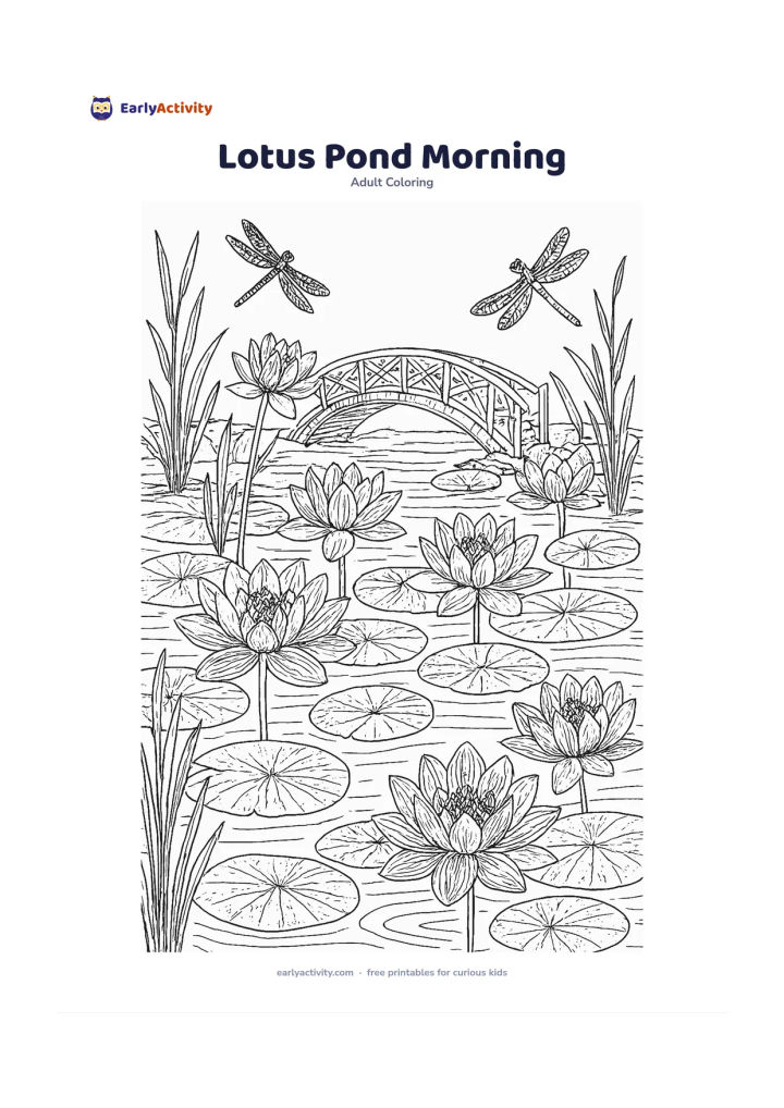 Colouring page: A wide lotus pond with several open flowers, round leaves, reeds, dragonflies and a small arched footbridge, arranged in a balanced scene. Leave the petals, leaves, bridge panels and…