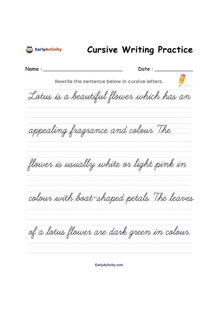 Worksheet with a cursive writing practice sentence about a lotus flower and several ruled lines for handwriting.