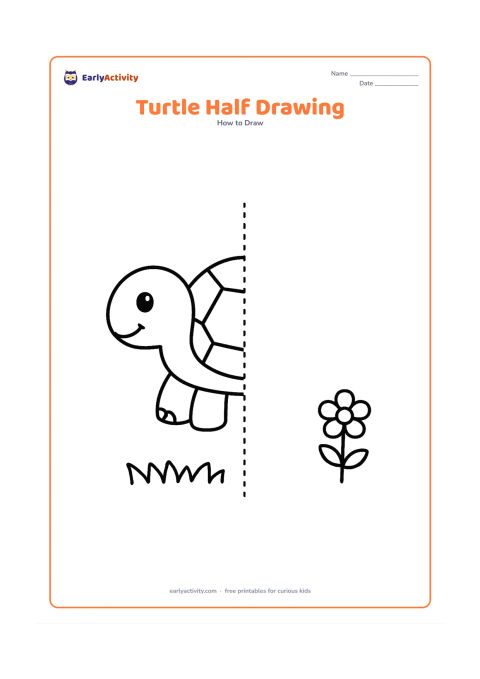 Worksheet: Show the left half of a front-facing turtle with a bold centre guideline and the right half left open for the child to complete. Place the turtle above a simple strip of grass and one…
