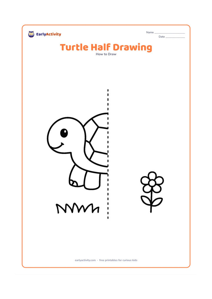 Worksheet: Show the left half of a front-facing turtle with a bold centre guideline and the right half left open for the child to complete. Place the turtle above a simple strip of grass and one…