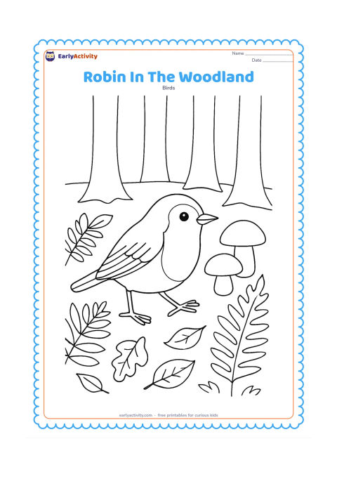 Colouring page: Draw a robin walking along a woodland floor with two rounded mushrooms, ferns and several fallen leaves. Include three tree trunks spaced behind the bird.