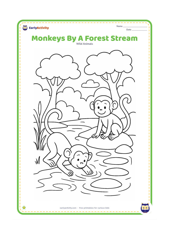 Colouring page: Draw two monkeys beside a shallow forest stream, with one drinking and the other sitting on a stone. Add reeds, stepping stones, trees and reflected cloud shapes.