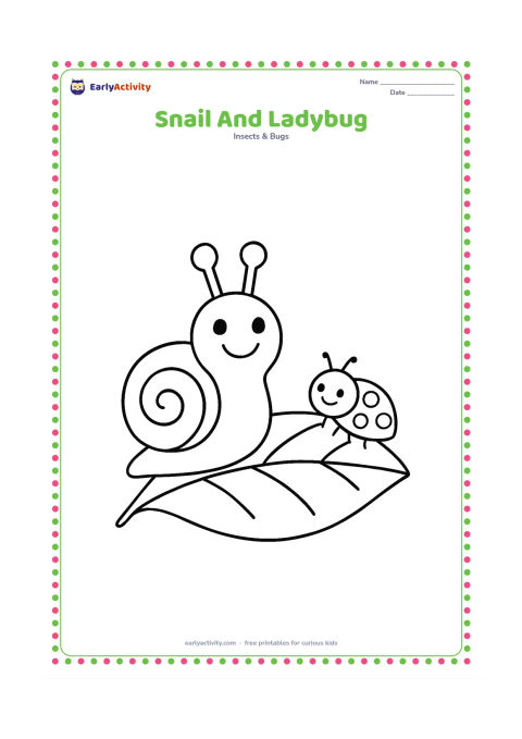 Colouring page: Draw a large snail and one small friendly ladybug sharing a broad leaf. Give the ladybug simple spots and leave open space around both insects.