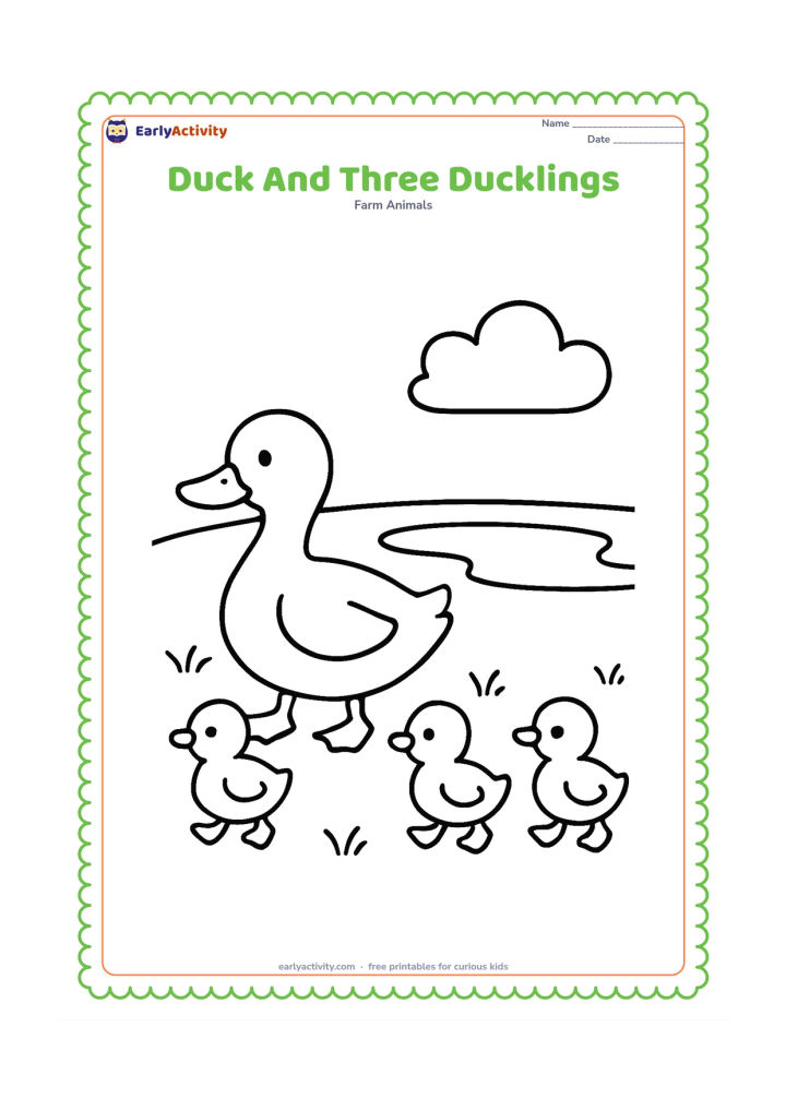 Colouring page: A mother duck walks beside three small ducklings on a grassy pond bank. Give each duckling a round body, tiny bill and simple feet, with a small pond behind them.