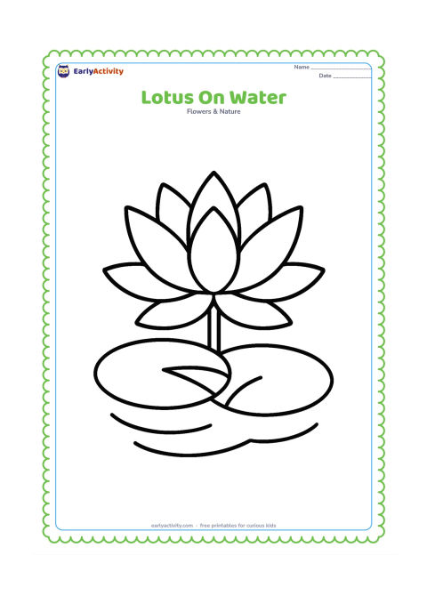 Colouring page: Draw one large lotus flower above two broad round leaves floating on calm water. Add only a few wide curved ripples beneath the leaves.