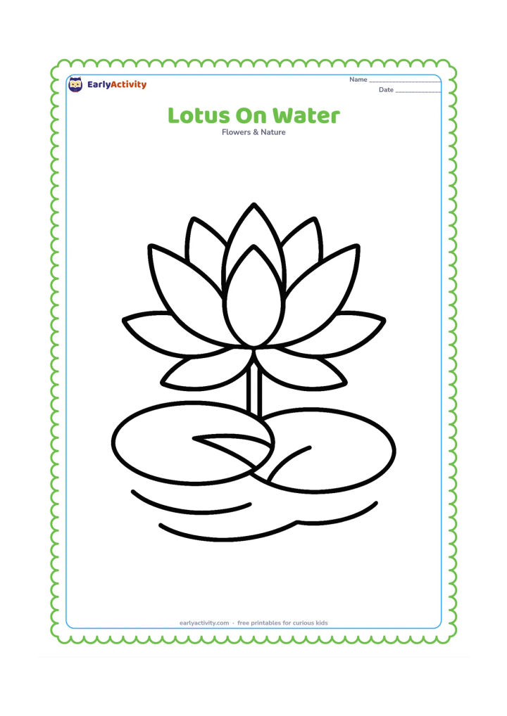 Colouring page: Draw one large lotus flower above two broad round leaves floating on calm water. Add only a few wide curved ripples beneath the leaves.