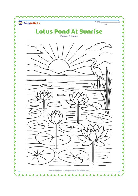Colouring page: Draw a detailed pond at sunrise with several lotus flowers at different stages, broad floating leaves, reeds, a heron in the distance and layered hills beyond. Add reflections and varied…