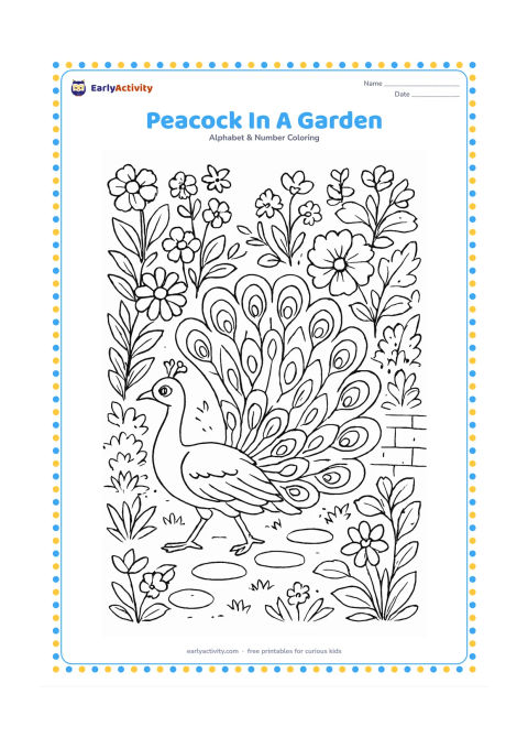 Colouring page: Draw a peacock walking through a richly planted garden with its tail partly open. Surround it with flowering plants, stepping stones and a low garden wall.