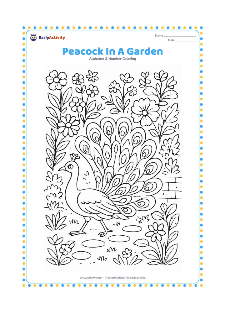 Colouring page: Draw a peacock walking through a richly planted garden with its tail partly open. Surround it with flowering plants, stepping stones and a low garden wall.