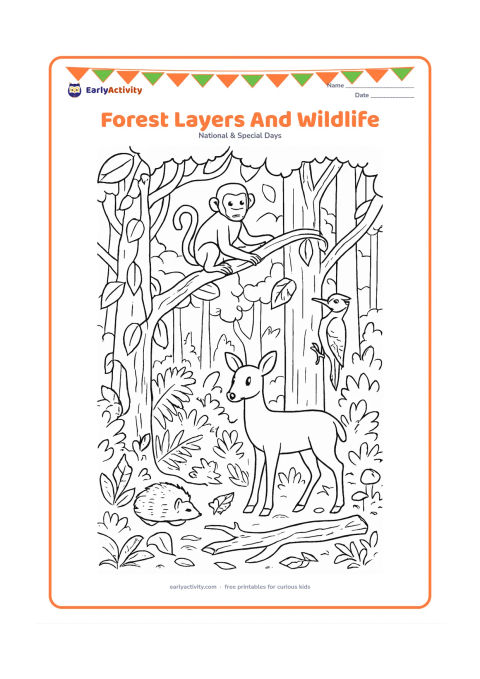 Colouring page: Draw a detailed forest cross-section with tall trees, a monkey in the canopy, a woodpecker on a trunk, a deer in the middle layer and a hedgehog among ferns. Include vines, mushrooms,…