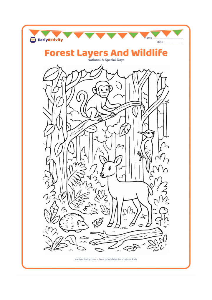 Colouring page: Draw a detailed forest cross-section with tall trees, a monkey in the canopy, a woodpecker on a trunk, a deer in the middle layer and a hedgehog among ferns. Include vines, mushrooms,…