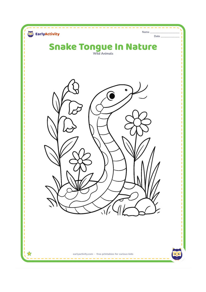 Colouring page: Draw a close but complete view of a snake raising its head and extending its forked tongue near flowering plants, rocks, and grass. Include subtle scent-flow lines around the tongue…