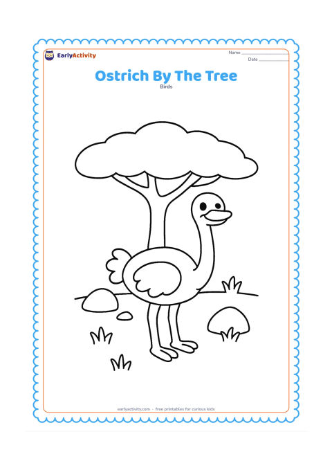 Colouring page: A friendly ostrich stands beneath a broad, simple acacia tree with a wide flat canopy. Add a few large rocks and short grass patches.