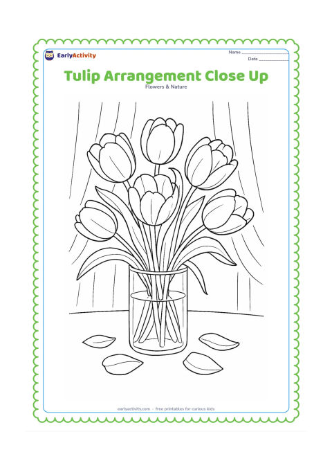 Colouring page: Draw a close-up arrangement of tulips in a glass vase, showing overlapping cup-shaped flowers, curved stems visible through the water, long leaves and a few loose petals on a tabletop.…