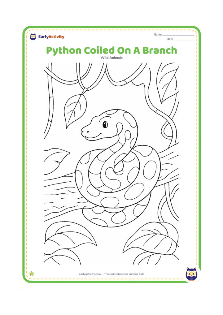 Colouring page: A calm python rests in loose coils on a thick branch, with its head looking toward a hanging leaf. Add textured bark, vines, and a few broad rainforest leaves.