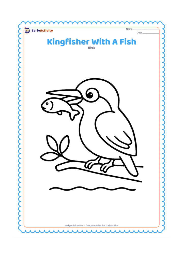 Colouring page: A kingfisher stands on a low branch holding one small fish in its pointed beak. Include one leaf cluster and a simple water line beneath the branch.