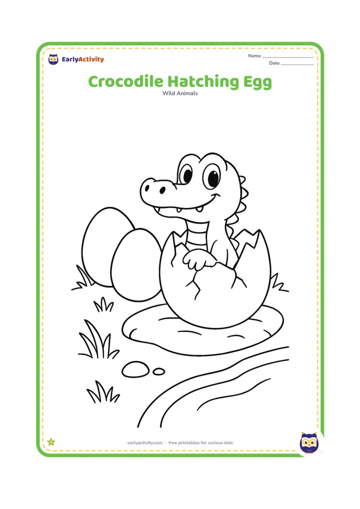 Colouring page: Draw a baby crocodile emerging from a cracked egg beside two unhatched eggs. Include a curved nest, short grass, a few pebbles, and the edge of a pond.