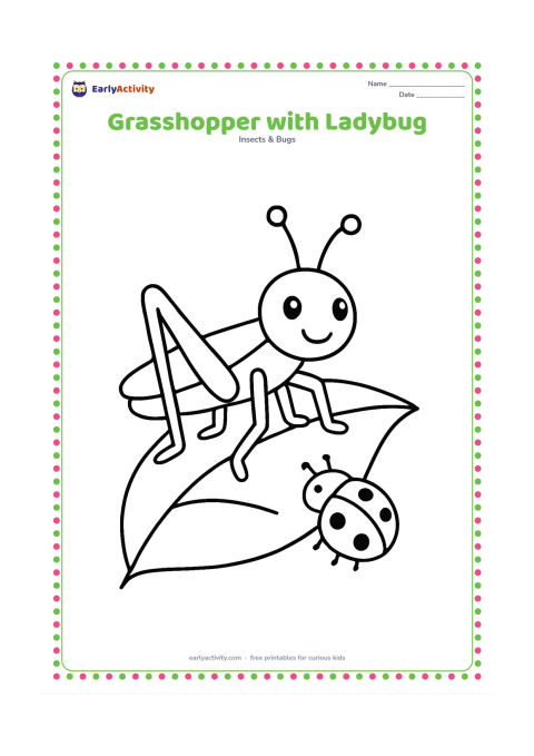Colouring page: Draw a large grasshopper on a leaf with a small friendly ladybug nearby. Both insects should be fully visible, with the grasshopper clearly larger and its six legs easy to identify.